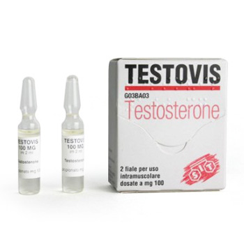 Testosterone propionate release time